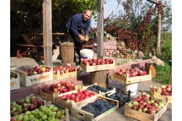 Bjelorusija Privát Zarechany, Eksterijer